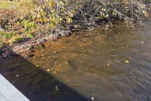 N6067 Gruening Ln, , Tomahawk,  WI 54487 USA