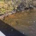 N6067 Gruening Ln, , Tomahawk,  WI 54487 USA