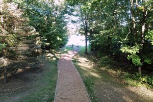 N6067 Gruening Ln, , Tomahawk,  WI 54487 USA