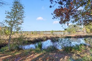 W6067 Duck Point Rd #A & #B, , Tomahawk,  WI 54487 USA