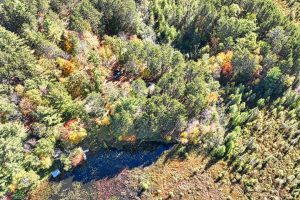 W6067 Duck Point Rd #A & #B, , Tomahawk,  WI 54487 USA