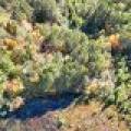 W6067 Duck Point Rd #A & #B, , Tomahawk,  WI 54487 USA